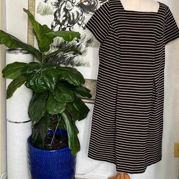 Talbots Size 16 W - Picture 3 of 7